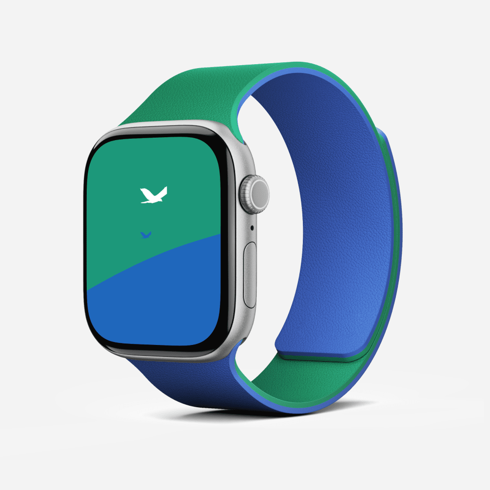 MOFT Snap Duo Çift Taraflı Manyetik Apple Watch Kordon - 38/40/41/42 mm